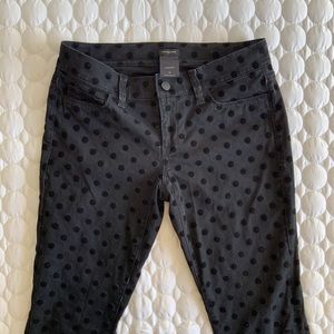 Ann Taylor Modern Polka Dot Pants